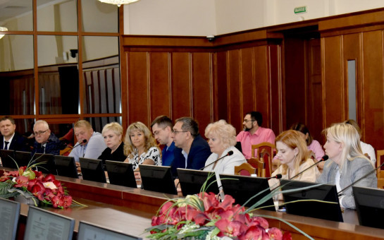 Елена Зерняева приняла участие в заседании комитета Законодательного Собрания области по государственной политике, законодательству и местному самоуправлению 